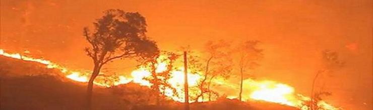 O incendio que comezou o 26 de agosto de 2013 en Oia xa afecta aos concellos de Tomiño e O Rosal