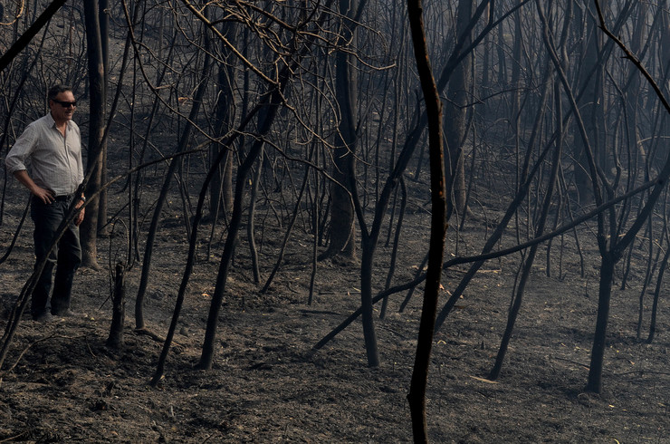 Bosque arrasado polo lume, en plena onda de incendios en Galicia a mediados de outubro de 2017 / Miguel Núñez.