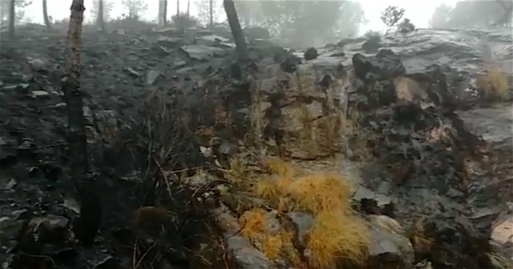 Fervenza de Fridauga no monte Xiabre queimada pola vaga de lumes que arrasou 35.500 hectáreas en Galicia en pleno mes de outubro.