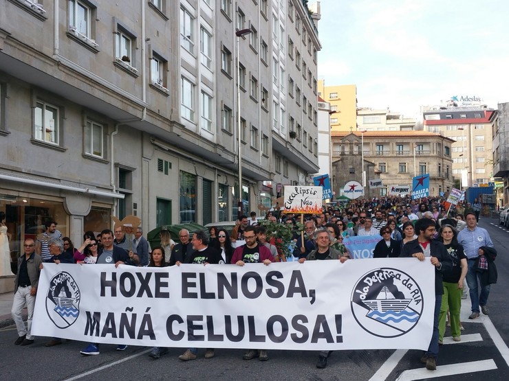 Marcha contra a celulosa en Pontevedra / Europa Press