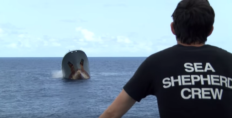 Un tripulante do Sea Shepard observa o sospeitoso afundimento do Thunder 