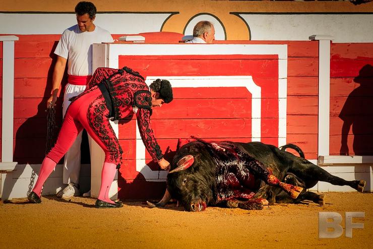Imaxe do documental 'Bullfight', de Iago Prada.