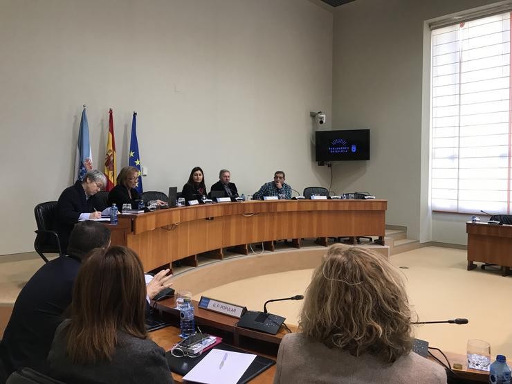 Comisión de investigación de recortes na sanidade pública galega / Europa Press