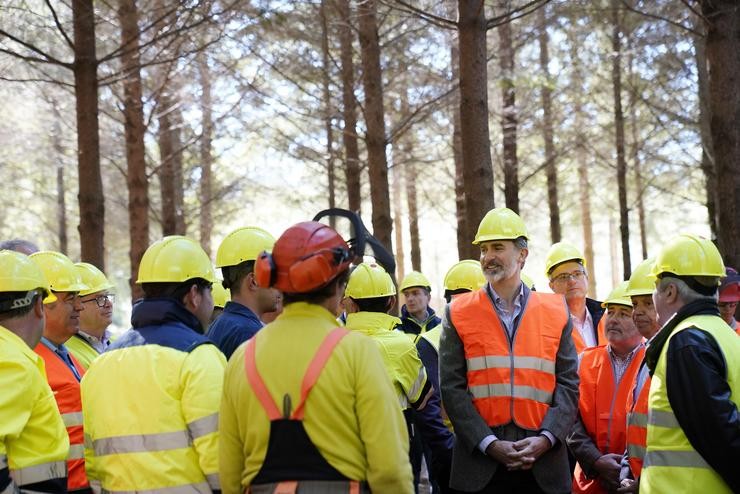 O Rei Felipe VI preside o acto central do Día Internacional dos Bosques / Europa Press
