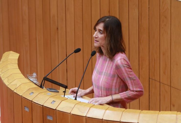 A conselleira de Educación, Carmen Pomar, no pleno do Parlamento. XUNTA - Arquivo 