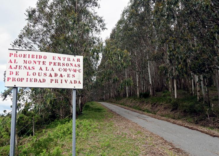 Denuncian por supostas irregularidades contables á dirección da comunidade de montes de Lousada, en Xermade (Lugo). REMITIDA