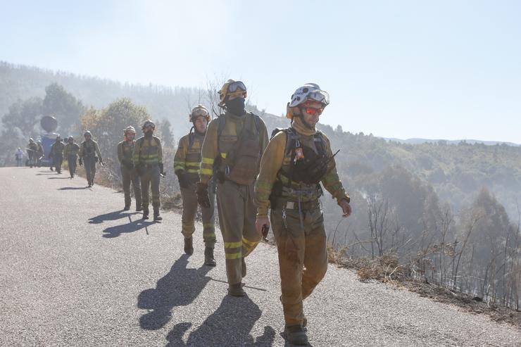 Fila de brigadistas que traballan para sufocar o incendio forestal de Mondariz (Pontevedra). MARTA VÁZQUEZ/EUROPA PRESS - Arquivo / Europa Press