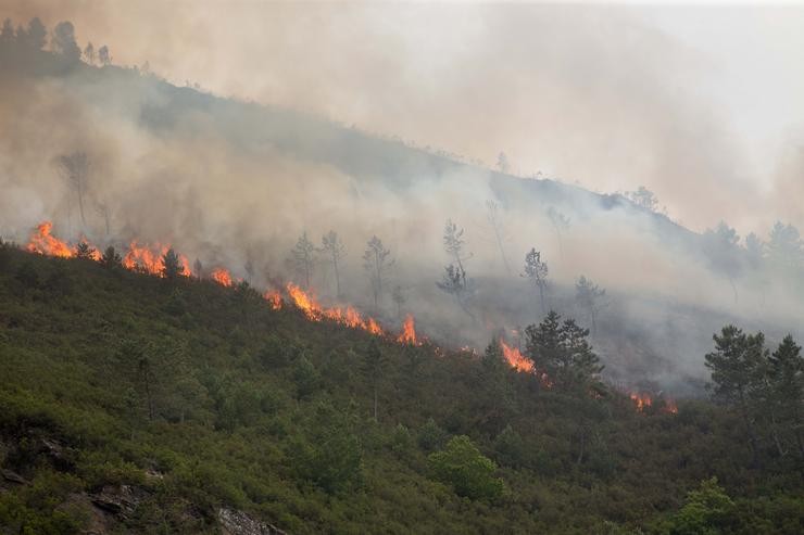 Labores de extinción do incendio forestal que se orixinou na contorna da localidade de Ferreirós de Abaixo, no concello de Folgoso do Courel, a 12 de xuño de 2021 / Carlos Castro - Europa Press.