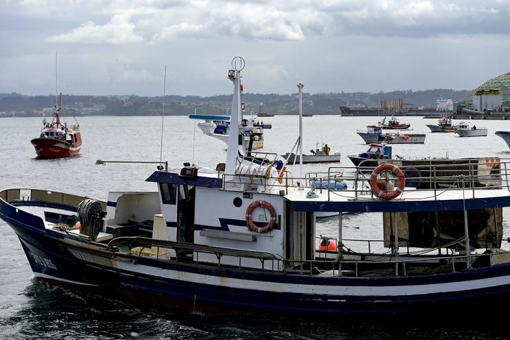 Varios barcos de frota artesanal tras a convocatoria de paro por parte da Federación Galega de Confrarías de Pescadores  / M. Dylan - Arquivo