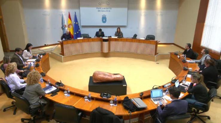 Comisión Institucional do Parlamento galego. PARLAMENTO 