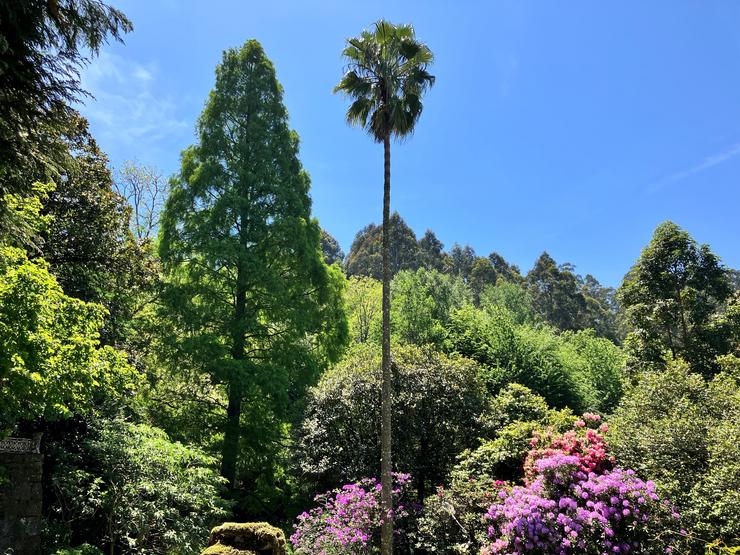 O xardín botánico de Lourizán, distinguido pola Asociación Ibero-Macaronésica de Xardíns Botánicos.. XUNTA 