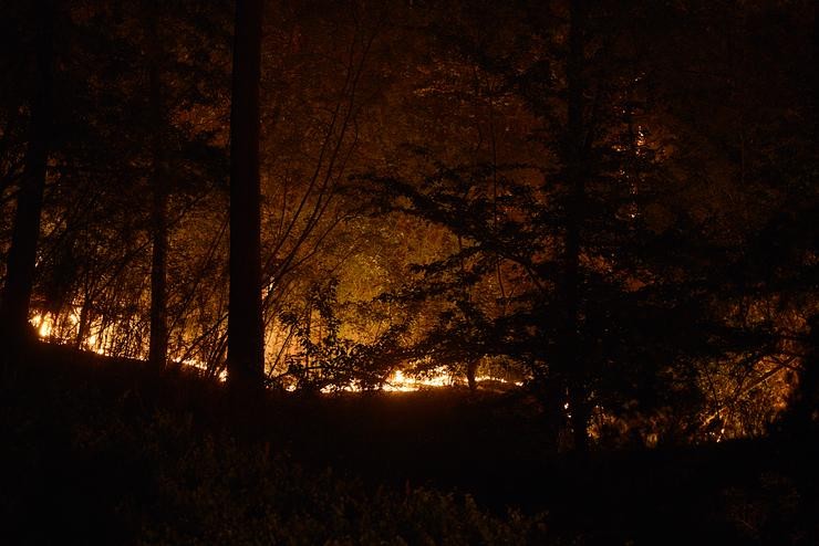 Lume nunha zona boscosa, a 28 de xullo de 2022, en Castrelo de Miño, Ourense.. Rosa Veiga - Europa Press 