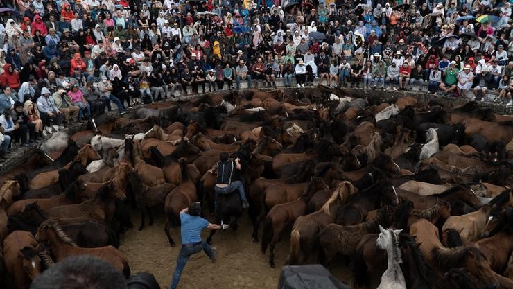 Os aloitadores achéganse aos cabalos no castro durante a Rapa das Bestas 2022, a 3 de xullo de 2022, en Sabucedo / Gustavo da Paz - Europa Press. / Europa Press