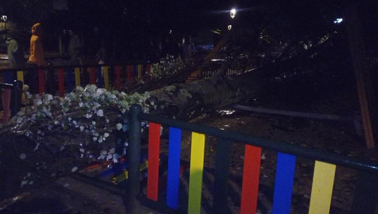 Vigo rexistra a caída dunha árbore sobre un parque infantil / POLICÍA LOCAL DE VIGO