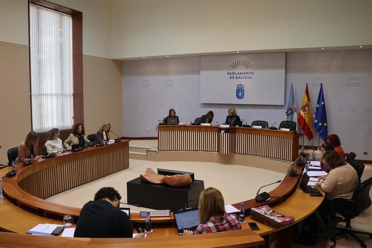 Comisión 5ª, de Sanidade, Política Social e Emprego do Parlamento de Galicia.. PARLAMENTO DE GALICIA / Europa Press