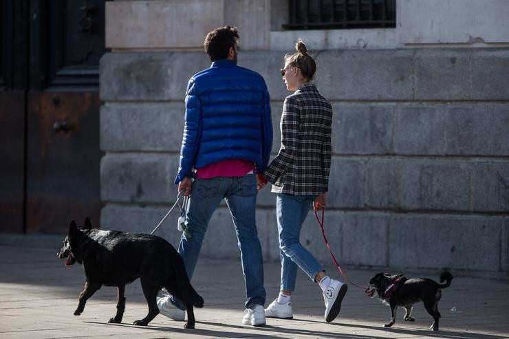 Unha parella pasea aos cans colleitos da man polas rúas de Madrid 
