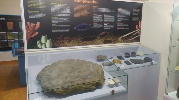 A pedra con rastros fósiles de trilobites da era Paleozoica achada exposta xa no Museo Xeolóxico de Quiroga 
