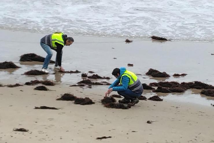 Axentes do Servizo de Vixilancia Ambiental da Consellería de Medio Ambiente do Goberno de Cantabria inspecionando a chegada de pélets a unha praia 