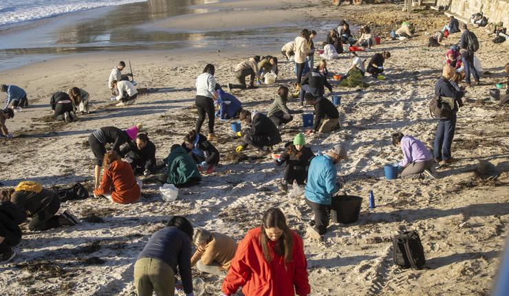 Varios voluntarios recollen pellets na praia de Panxón/ Javier Vázquez - Arquivo 