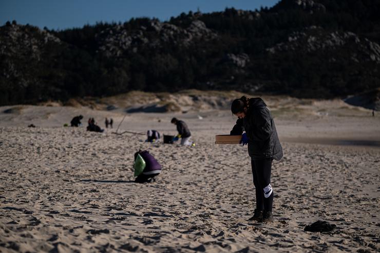 Voluntarios participan na recollida de pellets de plástico nunha praia de Muros 