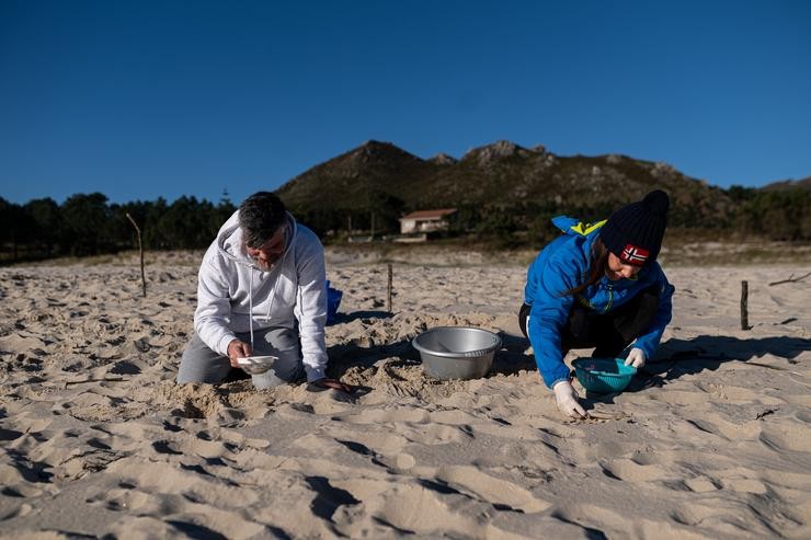 Voluntarios fan unha recollida de pellets da area. Elena Fernández - Europa Press / Europa Press