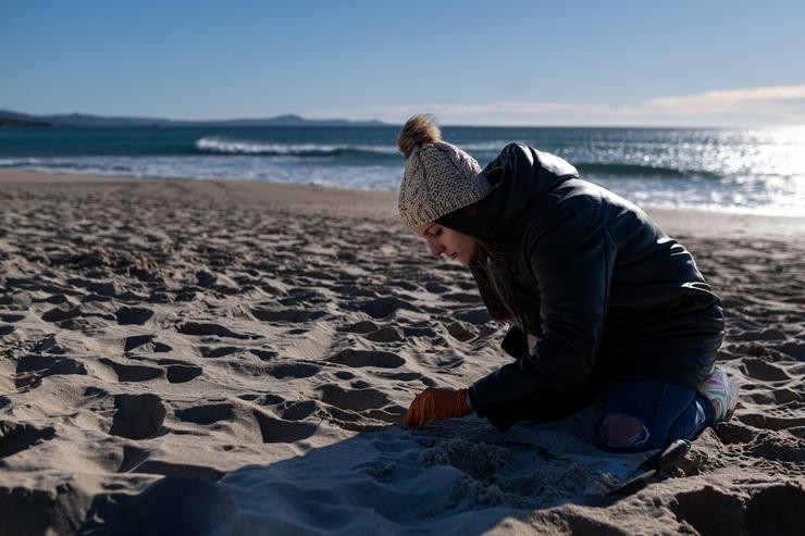 Voluntarios fan unha recollida de pellets de microplásticos da area, Galicia tras a contaminación masiva da costa galega con plástico 
