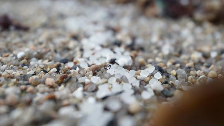 Pellets de plástico na praia de Sabón 