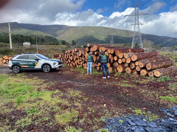 A Garda Civil desarticula un grupo dedicado a tallar árbores en leiras alleas para a súa venda na Rúa (Ourense). GARDA CIVIL 
