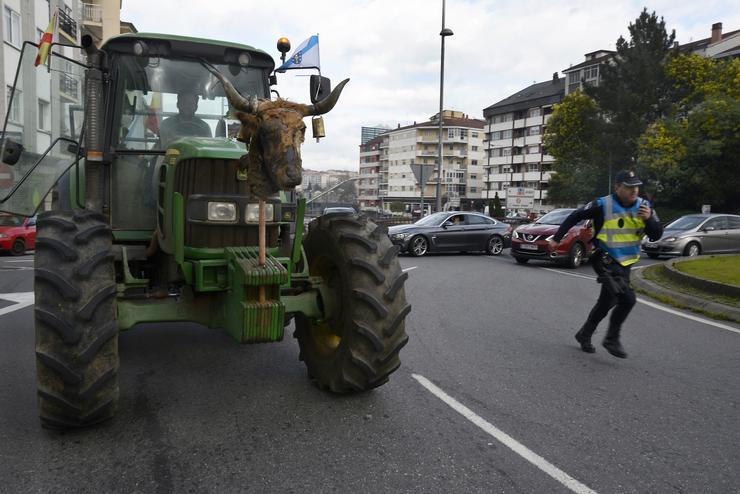 Un tractor de agricultor chega a Ourense durante unha manifestación na segunda xornada de protestas, a 7 de febreiro de 2024 en Ourense, Galicia (España). Agricultores e gandeiros de toda España sacaron os seus tractores ás estradas por segunda jorna. Rosa Veiga - Europa Press 
