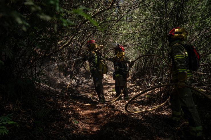 Axentes dos equipos de bombeiros traballan no lugar do incendio en Crecentes / Adrián Irago - Europa Press